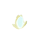 Symbol of Enlightenment